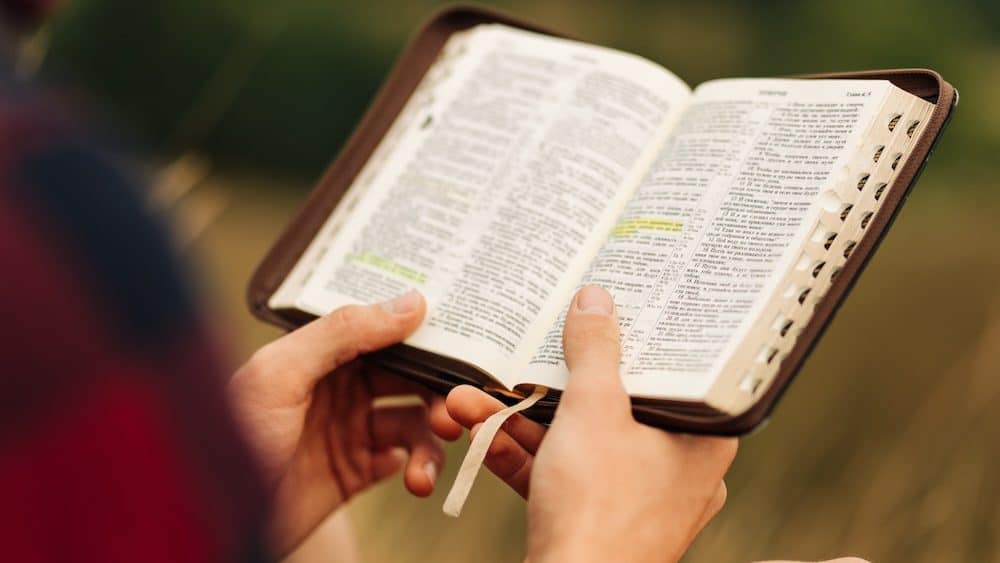 
Reading the Bible outdoors in nature. 
