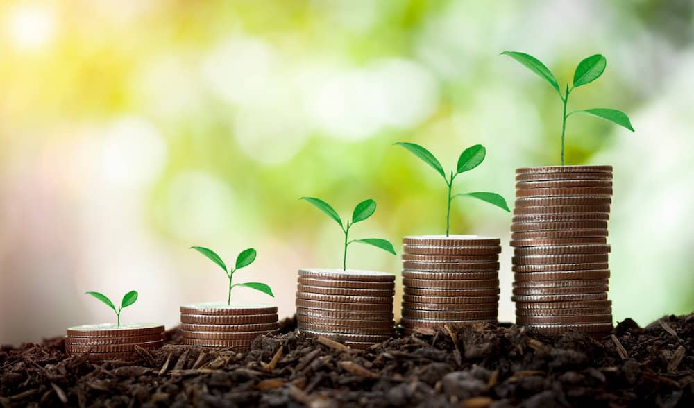 The coins are stacked look like the stair on fertile soil with growing plant,concept saving money,home loan,income on bokeh background.